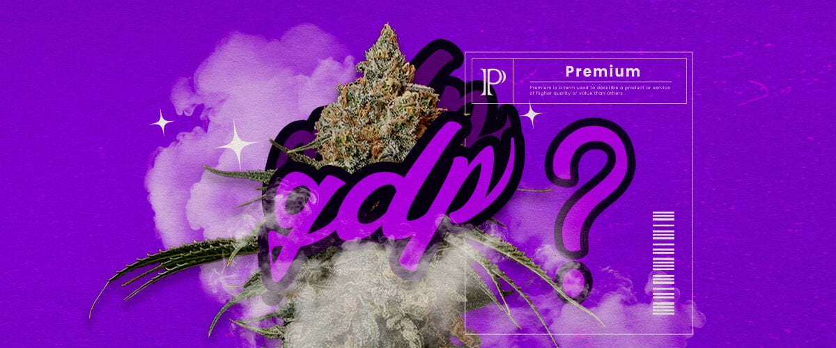 Guía de Información de la Cepa de Cannabis Granddaddy Purple Una ilustración de cogollos de cannabis Granddaddy Purple con tonos morados profundos y estructura densa, destacando sus rasgos híbridos dominantes indica y su aroma dulce a uva, sobre un fondo verde.