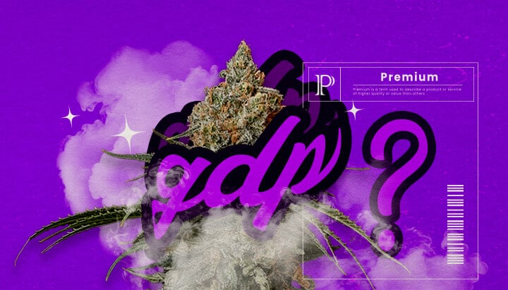Guía de Información de la Cepa de Cannabis Granddaddy Purple Una ilustración de cogollos de cannabis Granddaddy Purple con tonos morados profundos y estructura densa, destacando sus rasgos híbridos dominantes indica y su aroma dulce a uva, sobre un fondo verde.