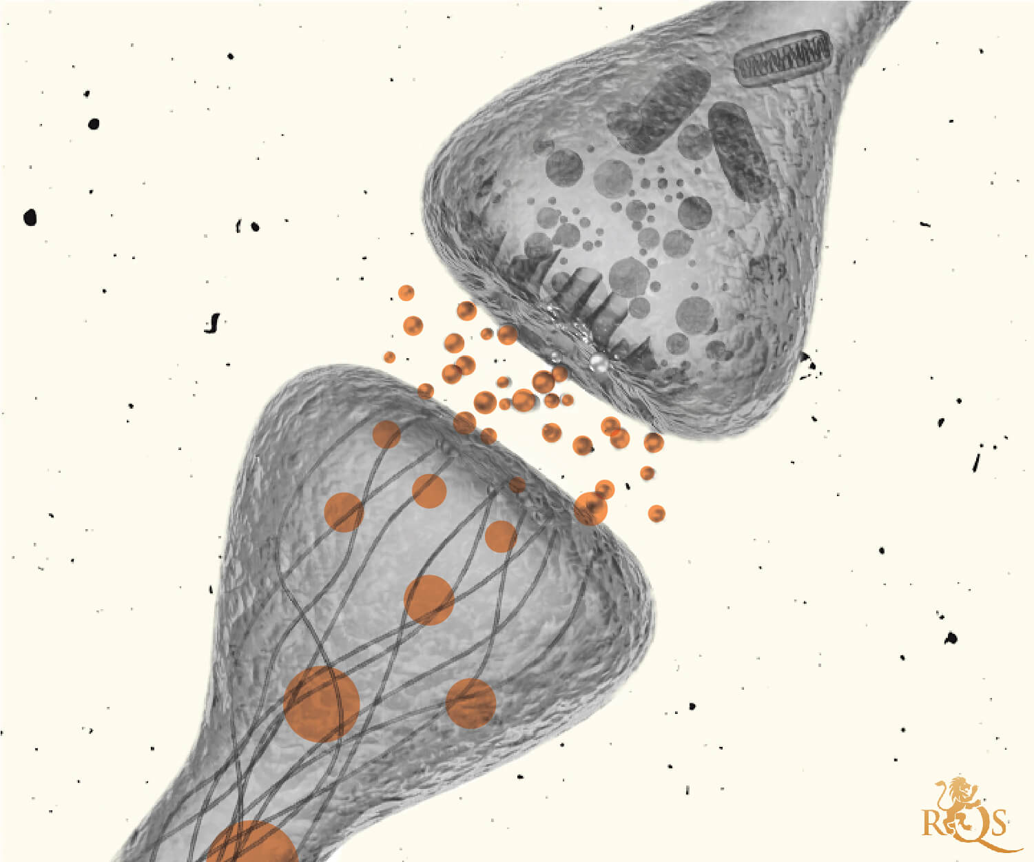 El sistema endocannabinoide