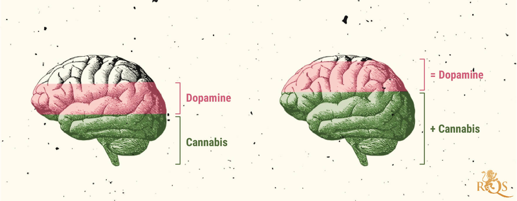 Posibles causas del trastorno por consumo de marihuana