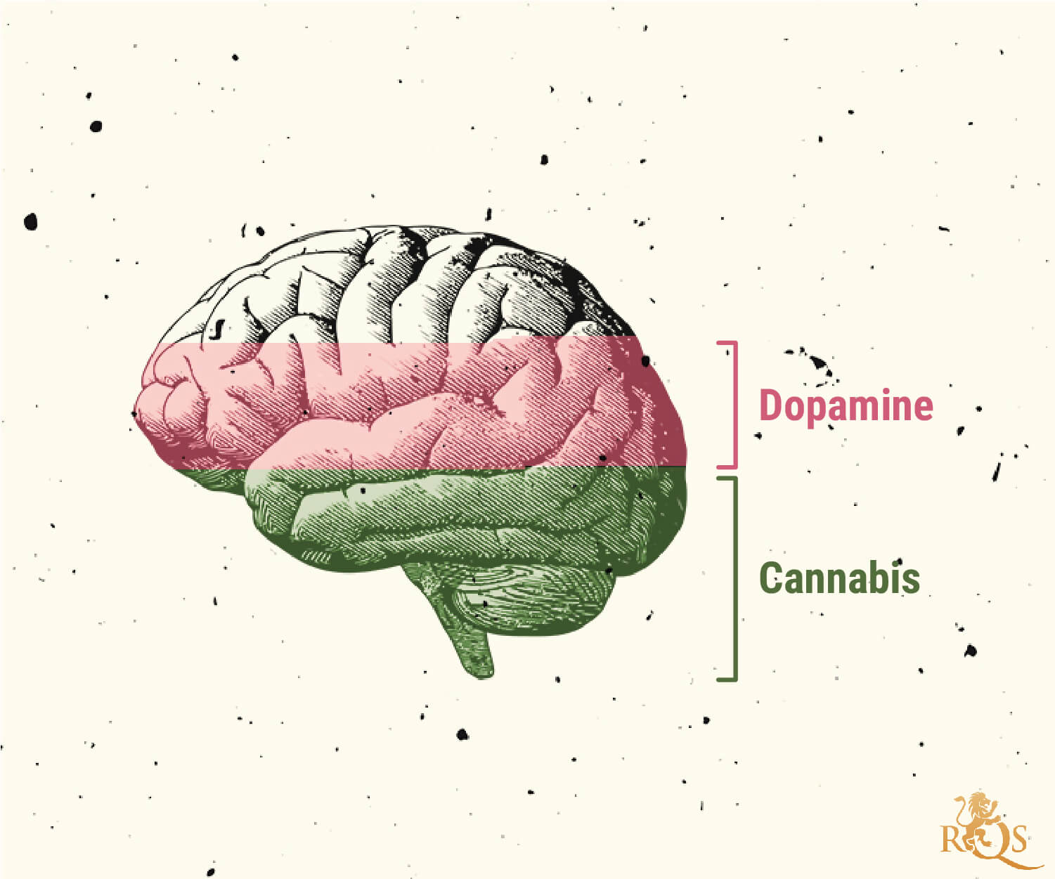 Posibles causas del trastorno por consumo de marihuana