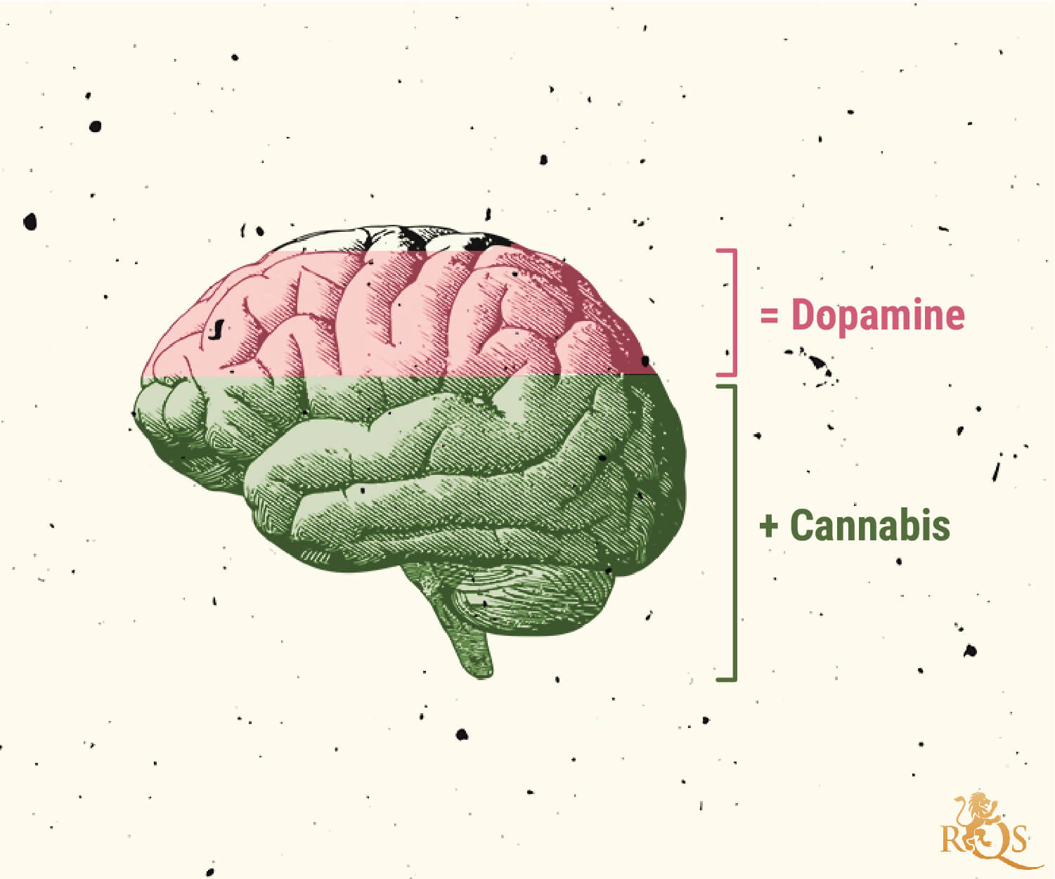 Posibles causas del trastorno por consumo de marihuana