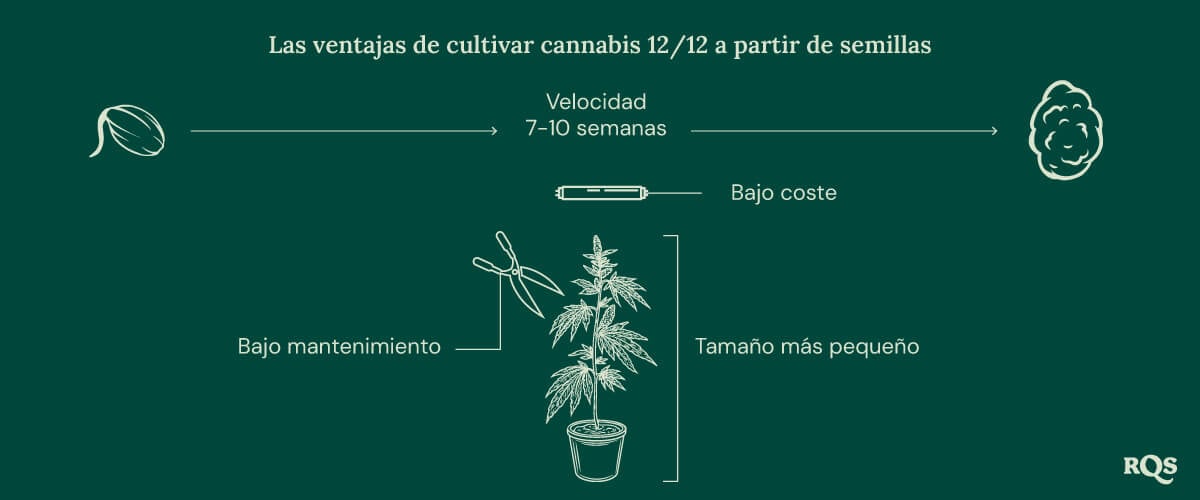 12-12 Cannabis Light Cycle advantages