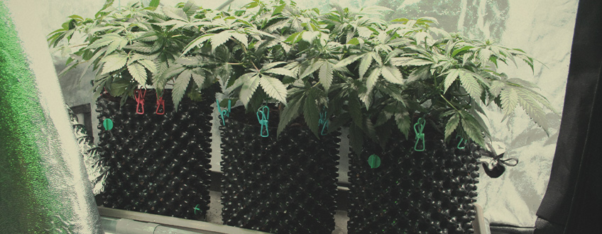 Air pots Air pots