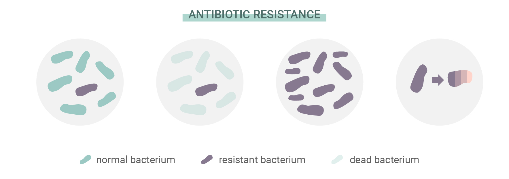 ¿Qué es la resistencia a los antibióticos? ¿Qué es la resistencia a los antibióticos?