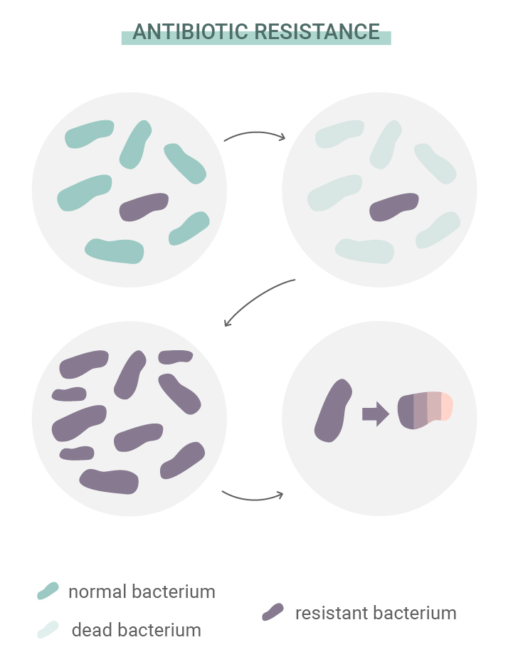 ¿Qué es la resistencia a los antibióticos? ¿Qué es la resistencia a los antibióticos?