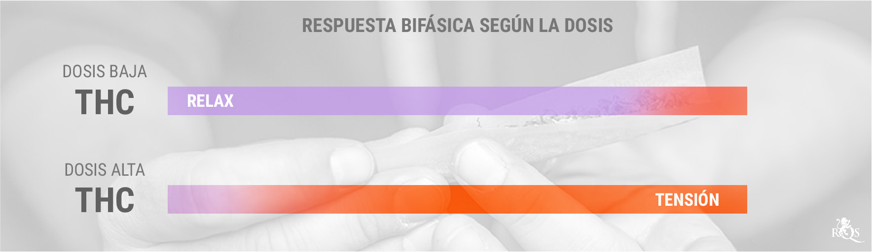 THC y la respuesta bifásica a la dosis THC y la respuesta bifásica a la dosis