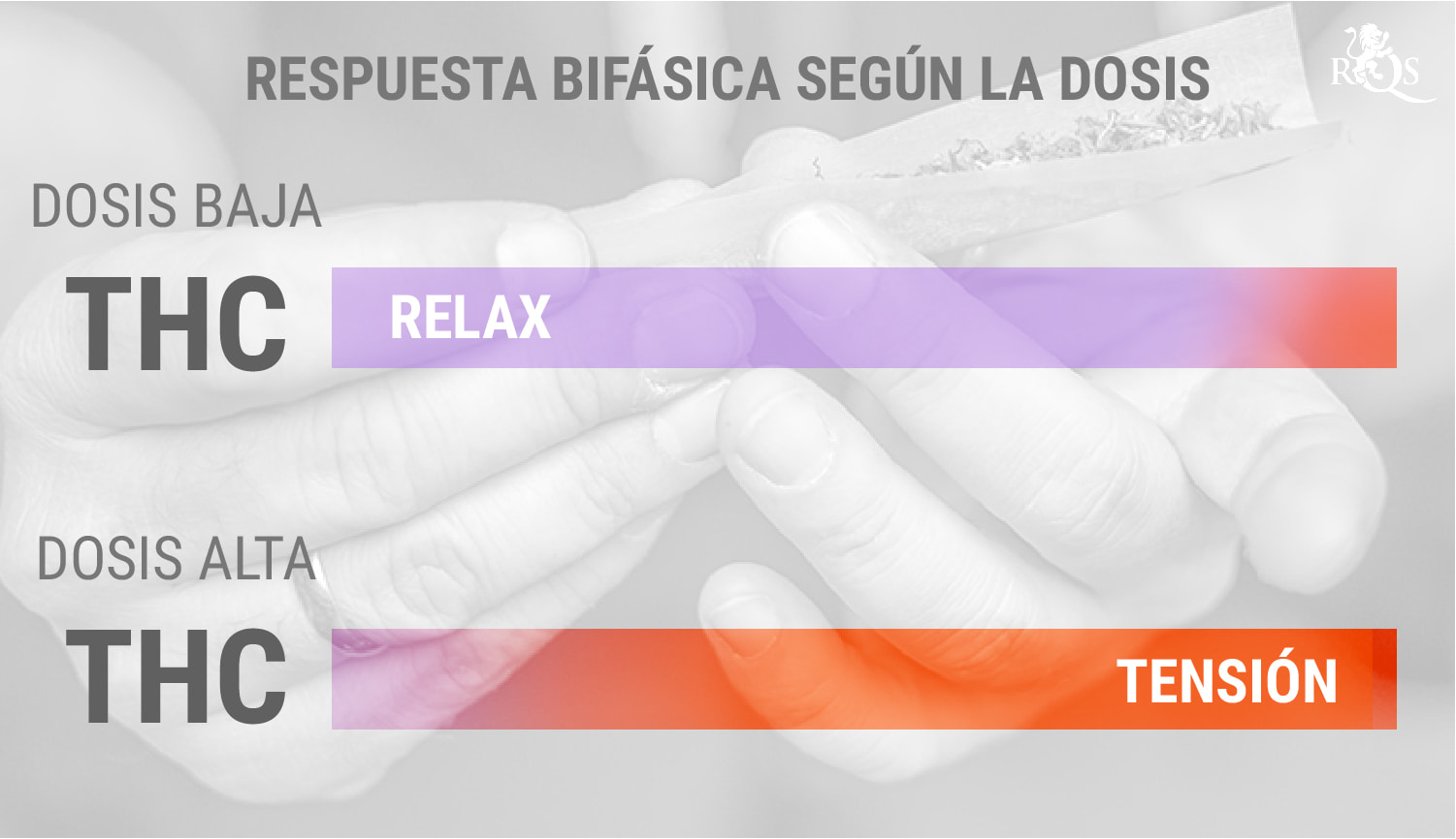 THC y la respuesta bifásica a la dosis THC y la respuesta bifásica a la dosis