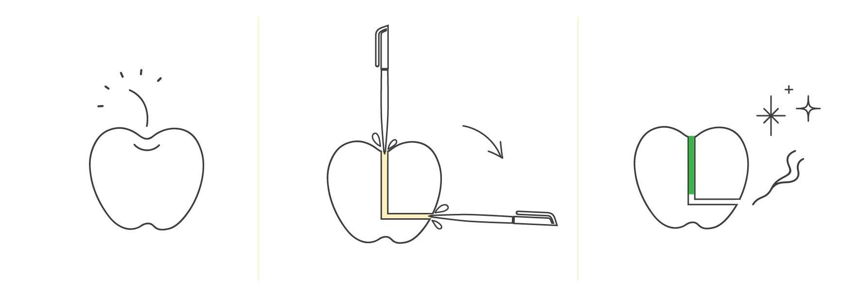 Cómo hacer un bong casero - RQS Blog