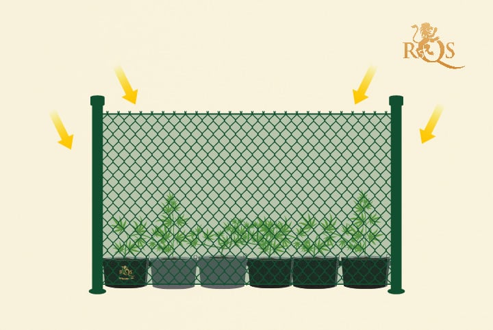 Vallado de malla verde para ocultar tus plantas