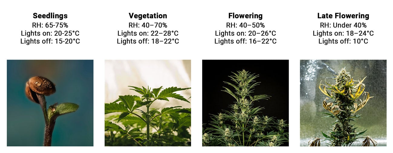 Humidity and Temperarure in Every Stage