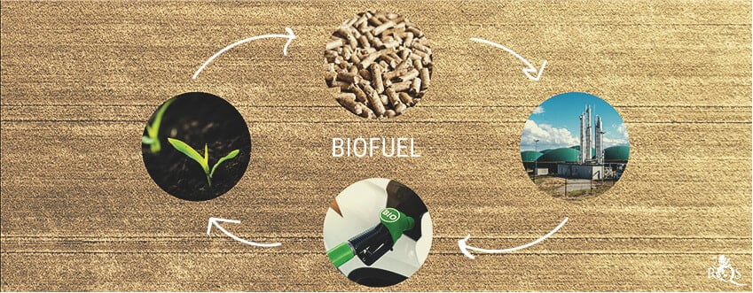 ¿Qué son exactamente los biocombustibles?