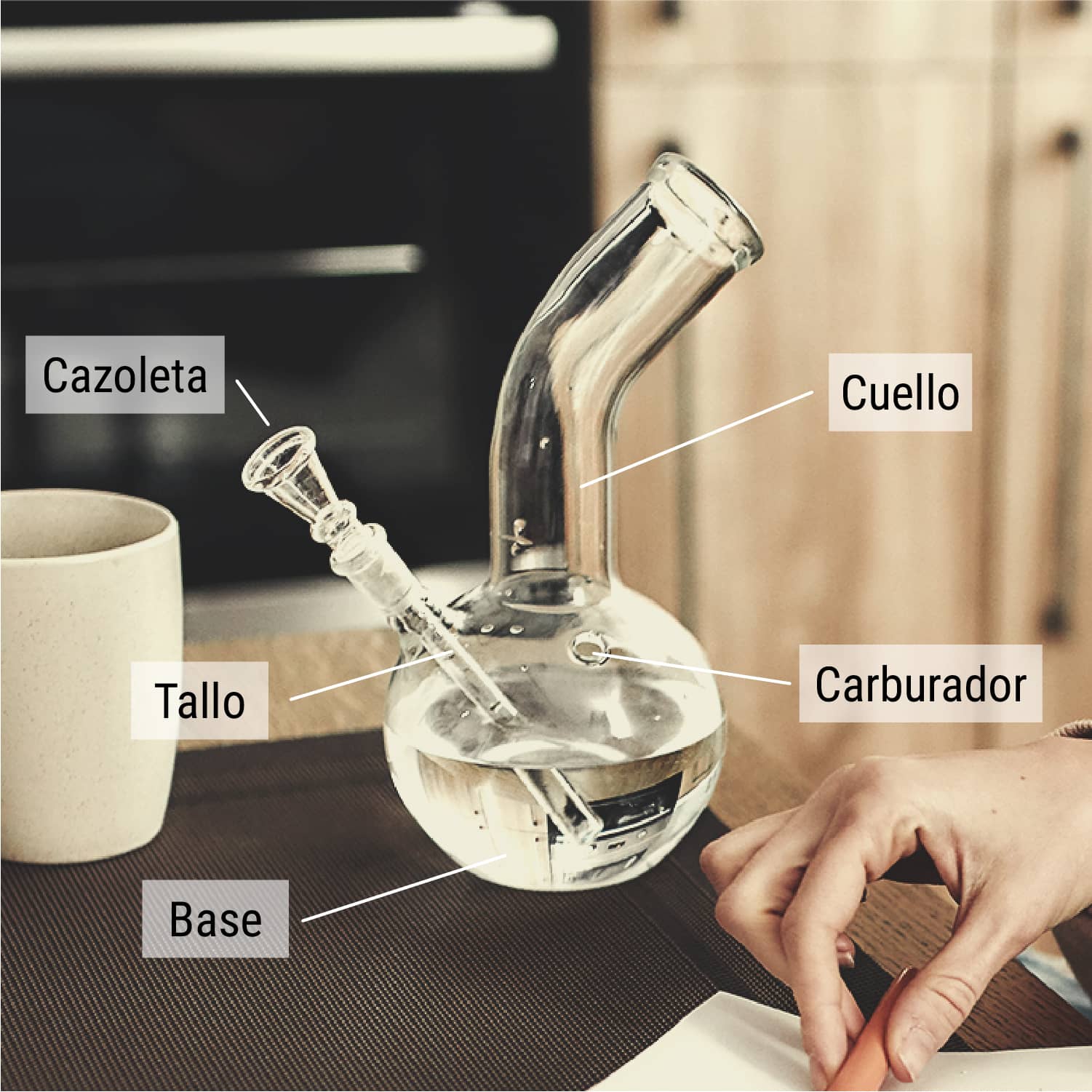 ¿Cómo filtra el humo el agua de un bong?