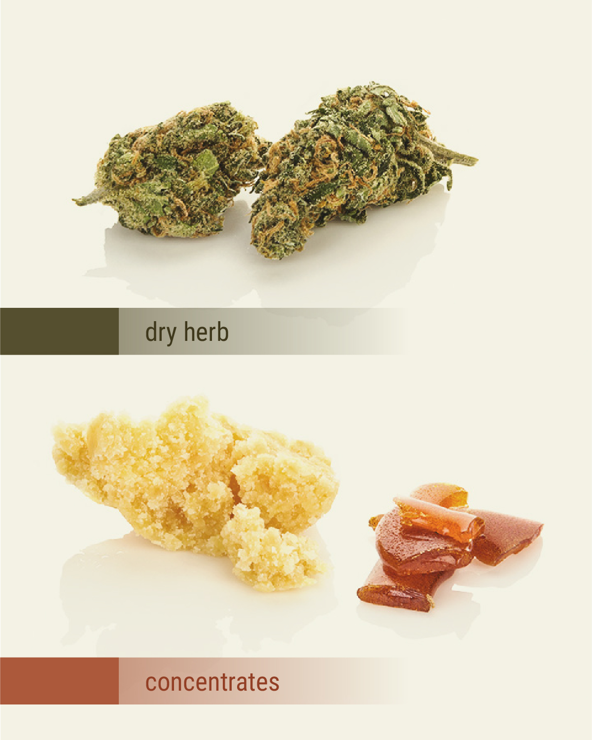 Dab rig frente a bong Dab rig frente a bong