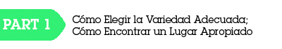 Variedades Cannabis