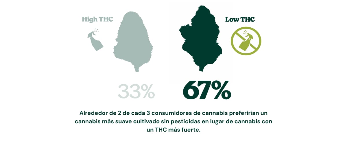 Infografía que muestra que el 67 % de los consumidores de cannabis elegiría cannabis con menos THC cultivado sin pesticidas en lugar de cannabis más potente con un nivel más alto de THC, mientras que el 33 % elegiría cannabis con alto contenido de THC.
