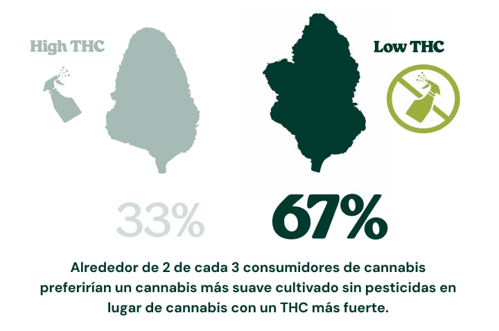 Infografía que muestra que el 67 % de los consumidores de cannabis elegiría cannabis con menos THC cultivado sin pesticidas en lugar de cannabis más potente con un nivel más alto de THC, mientras que el 33 % elegiría cannabis con alto contenido de THC.