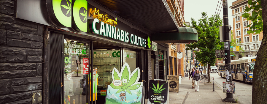 Distribuidor de cannabis