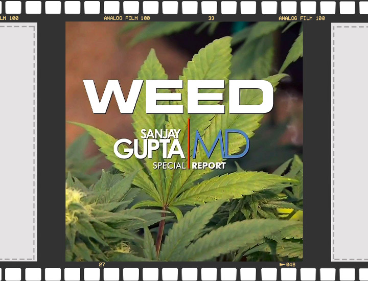 Documentales sobre marihuana Documentales sobre marihuana