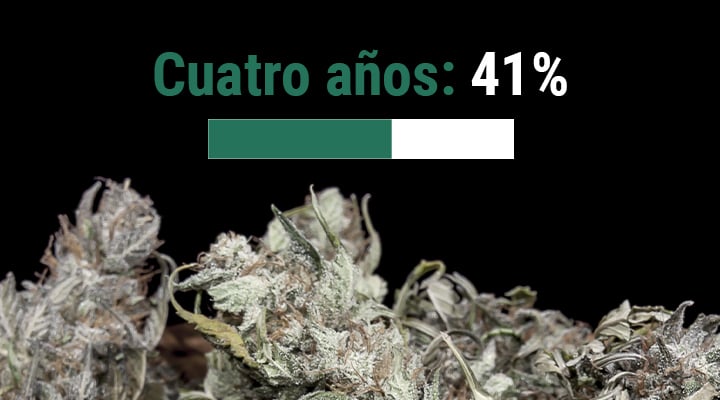 ¿Cuál es la vida útil de la marihuana?