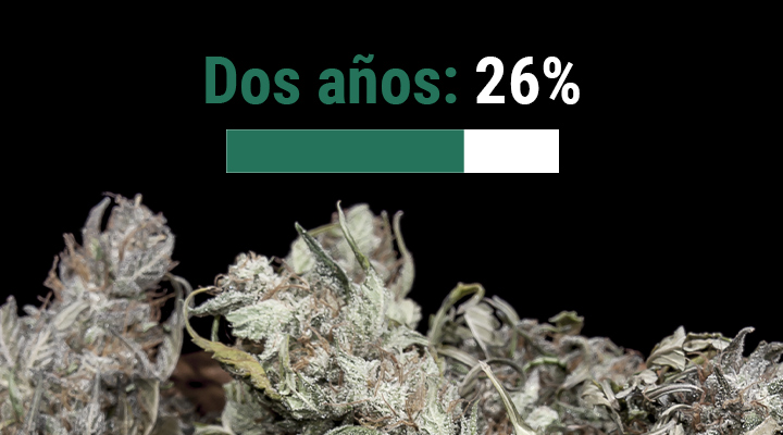 ¿Cuál es la vida útil de la marihuana?