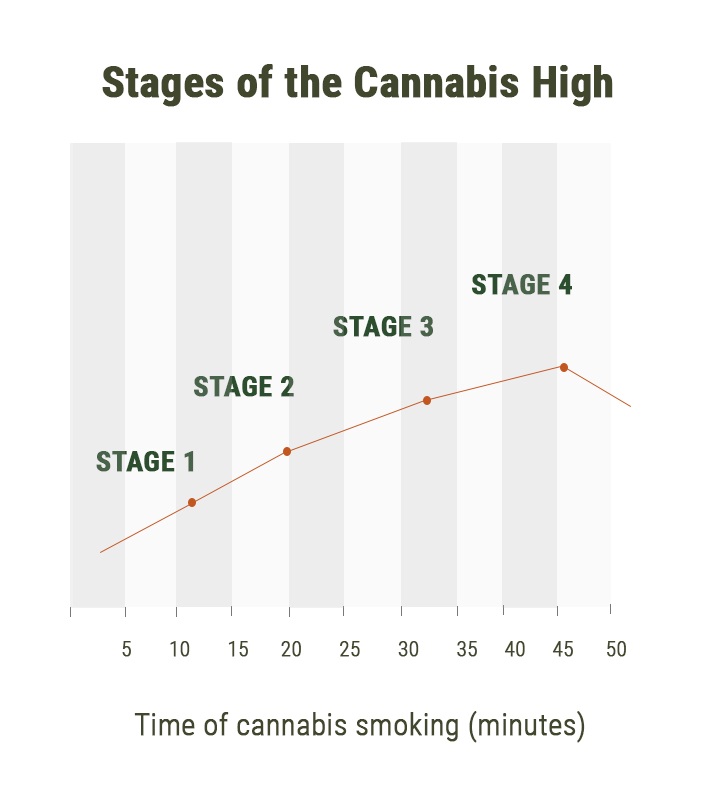Fases del subidón de marihuana Fases del subidón de marihuana