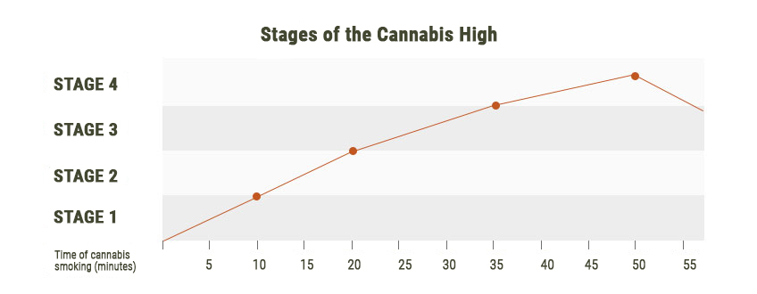 Fases del subidón de marihuana Fases del subidón de marihuana
