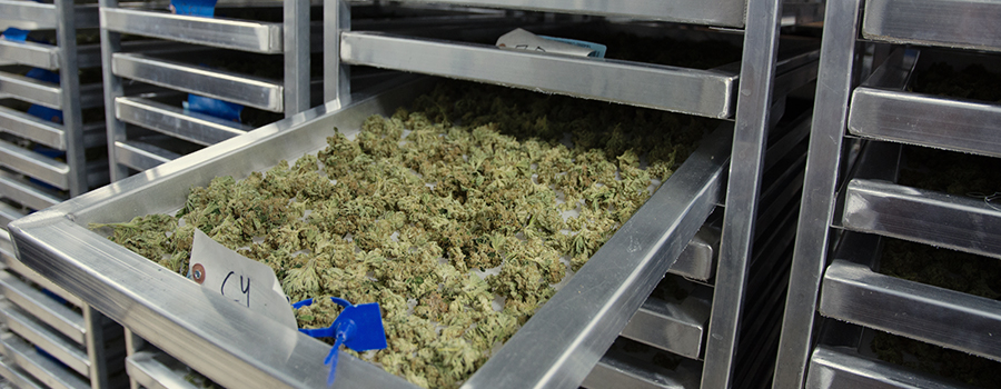 Dispensary Dispensary