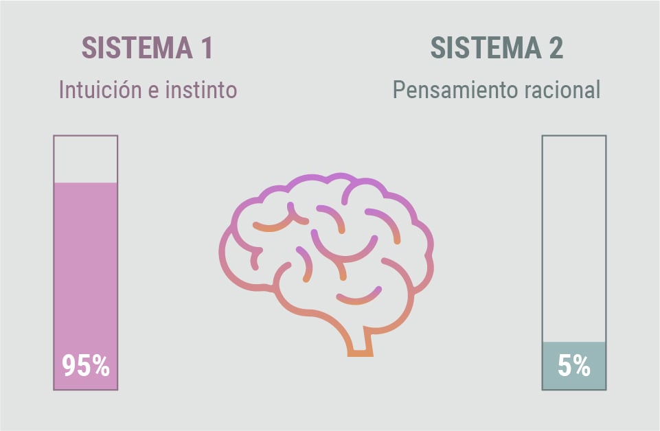 Cómo funciona la memoria