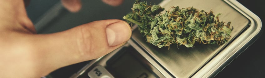 10 mitos sobre la marihuana desmentidos