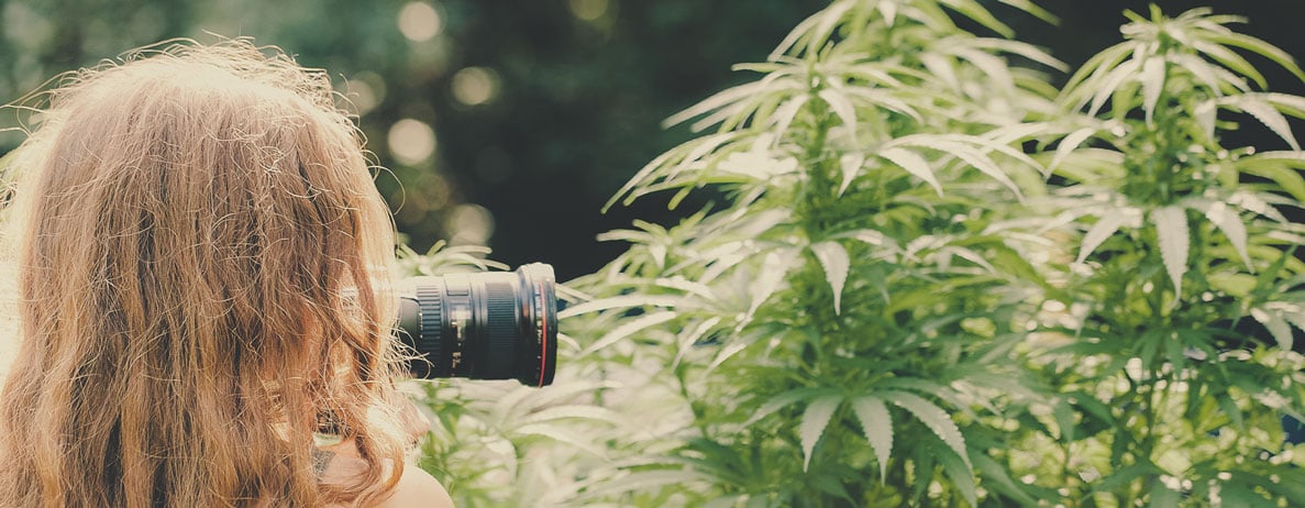 ¿Qué tipo de proyectos se pueden esperar de un fotógrafo de cannabis (por ejemplo, en el sector inmobiliario, para dispensarios, fotoperiodismo cannábico...)?