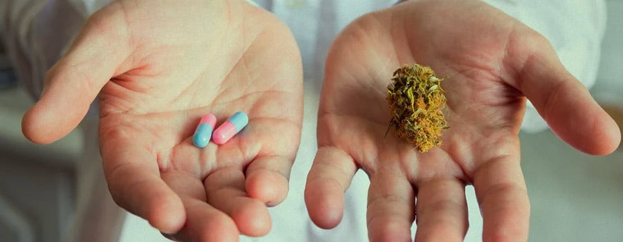cannabis medicinal Tasmania Australia legalización