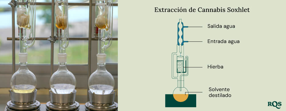 Cannabis soxhlet extraction
