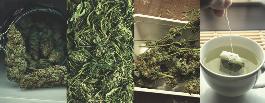 Tipos de té de marihuana Tipos de té de marihuana