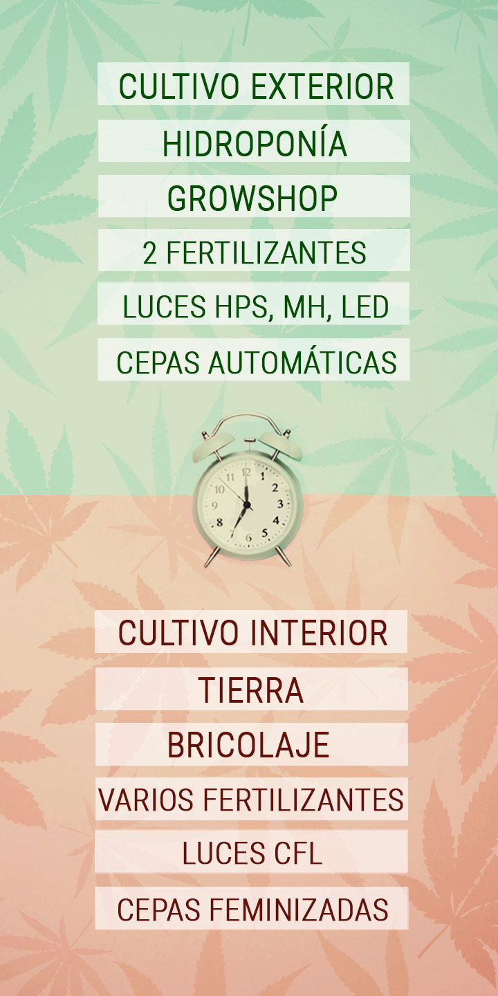 Trucos que ahorran tiempo al cultivador de cannabis con una agenda apretada