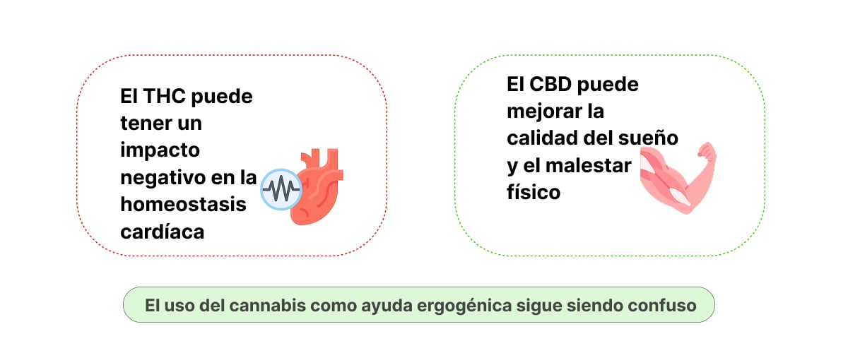 Infografía que muestra los posibles efectos del THC y el CBD en el rendimiento deportivo, la homeostasis cardíaca, la calidad del sueño y la recuperación