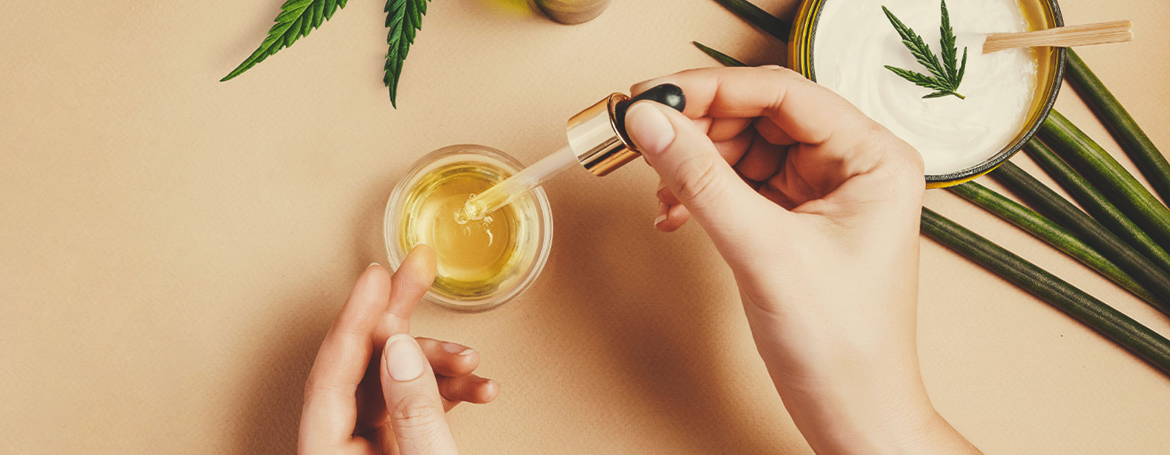 Cómo hacer aceite a partir de semillas de marihuana medicinal Cómo hacer aceite a partir de semillas de marihuana medicinal