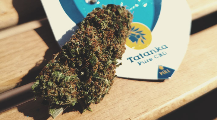 ¿Qué tipo de productos de CBD existen? ¿Qué tipo de productos de CBD existen?