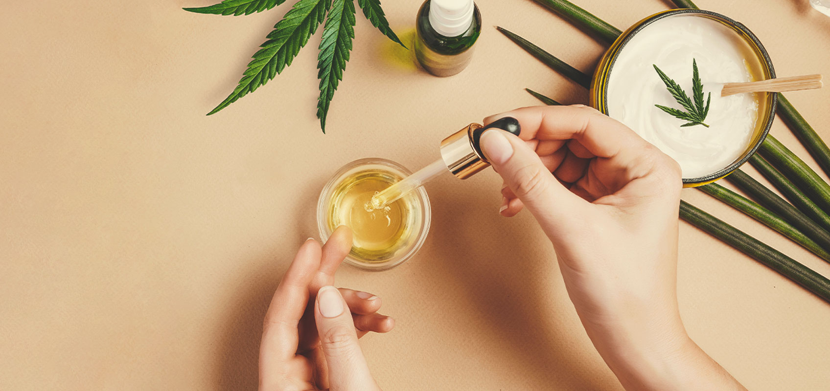 Cómo hacer aceite a partir de semillas de marihuana medicinal Cómo hacer aceite a partir de semillas de marihuana medicinal