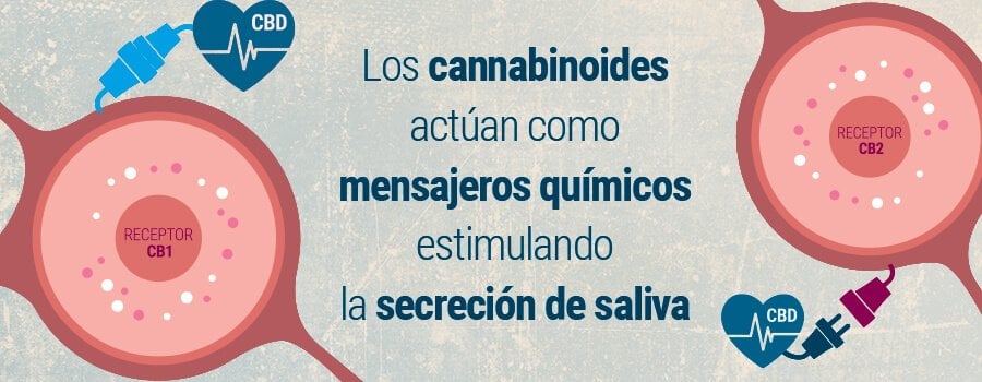 LAS SUSTANCIAS DEL HUMO EMPEORAN AÚN MÁS LAS COSAS