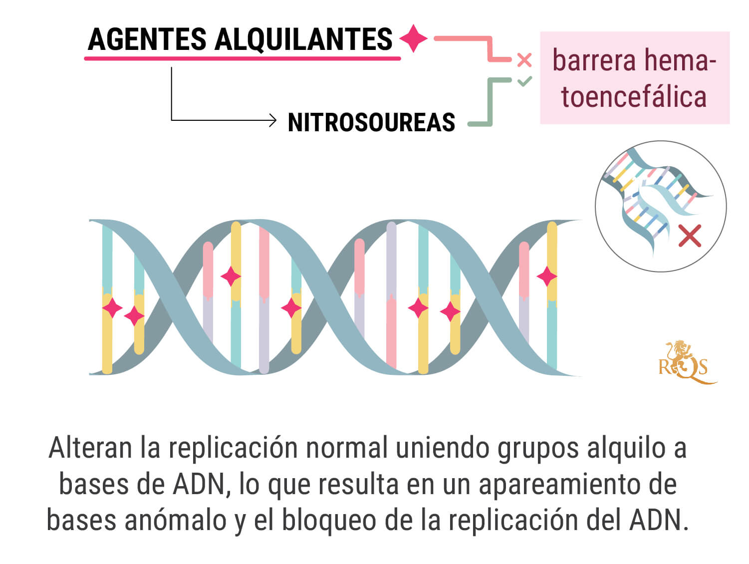 ¿Qué es la quimioterapia?