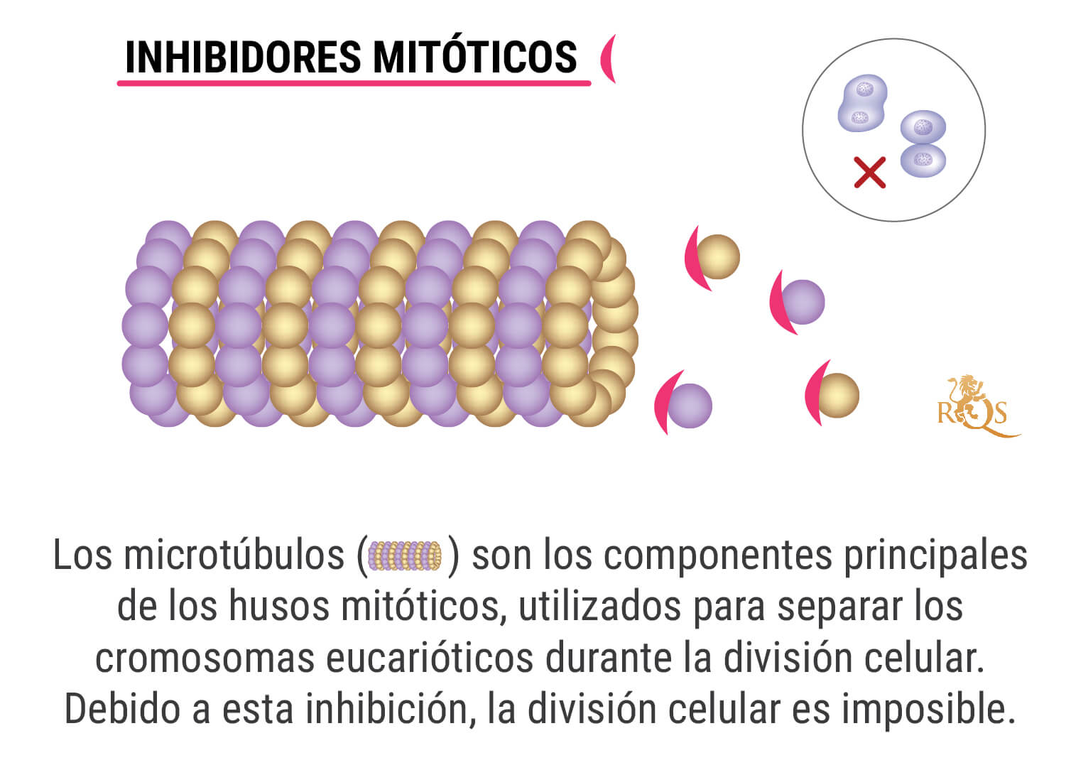 ¿Qué es la quimioterapia?