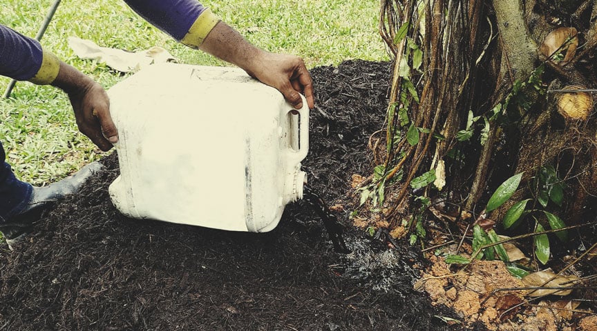 Úsalo como té de compost