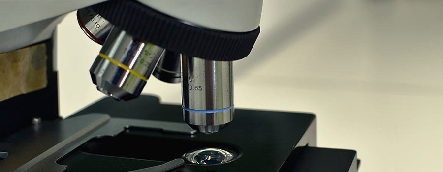Microscopio compuesto
