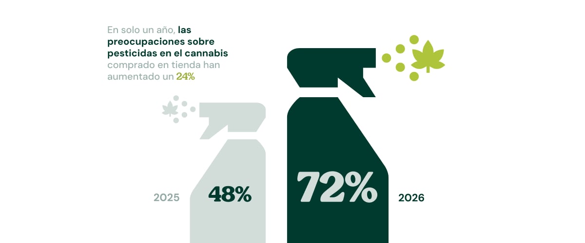 Infografica che mostra come la preoccupazione per i pesticidi nella cannabis acquistata nei negozi sia salita dal 48% nel 2025 al 72% nel 2026.