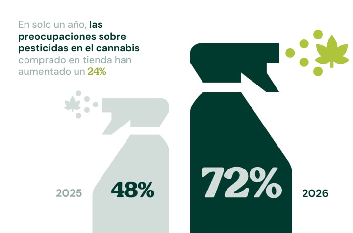 Infografica che mostra come la preoccupazione per i pesticidi nella cannabis acquistata nei negozi sia salita dal 48% nel 2025 al 72% nel 2026.