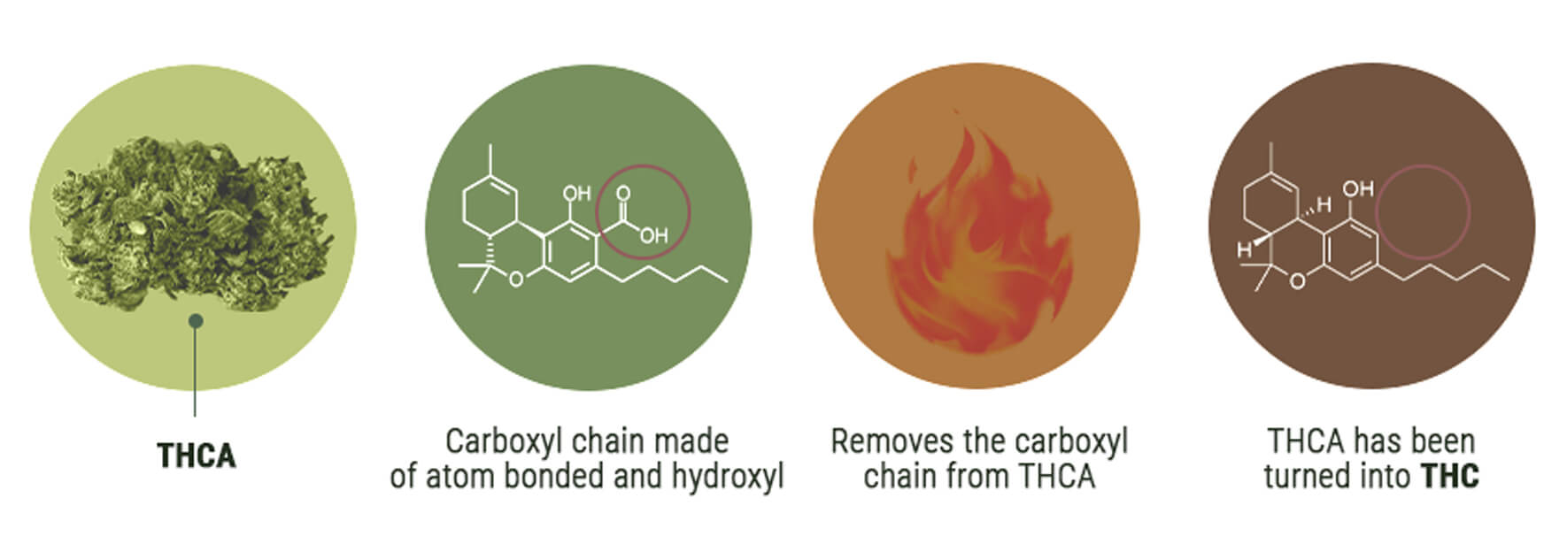 ¿En qué se diferencian el THCV y el THC?