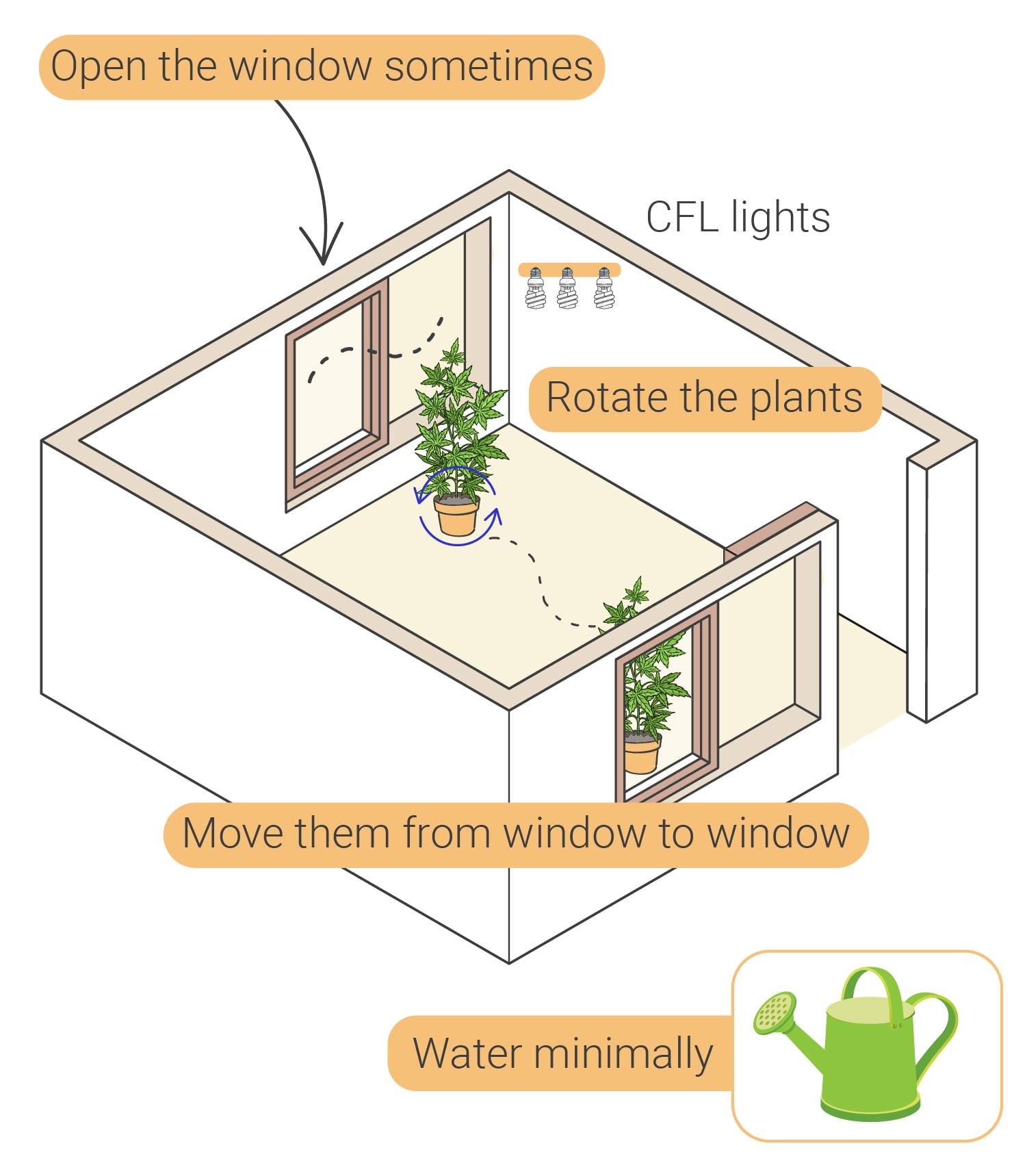 Cómo cultivar marihuana en interior sin luces