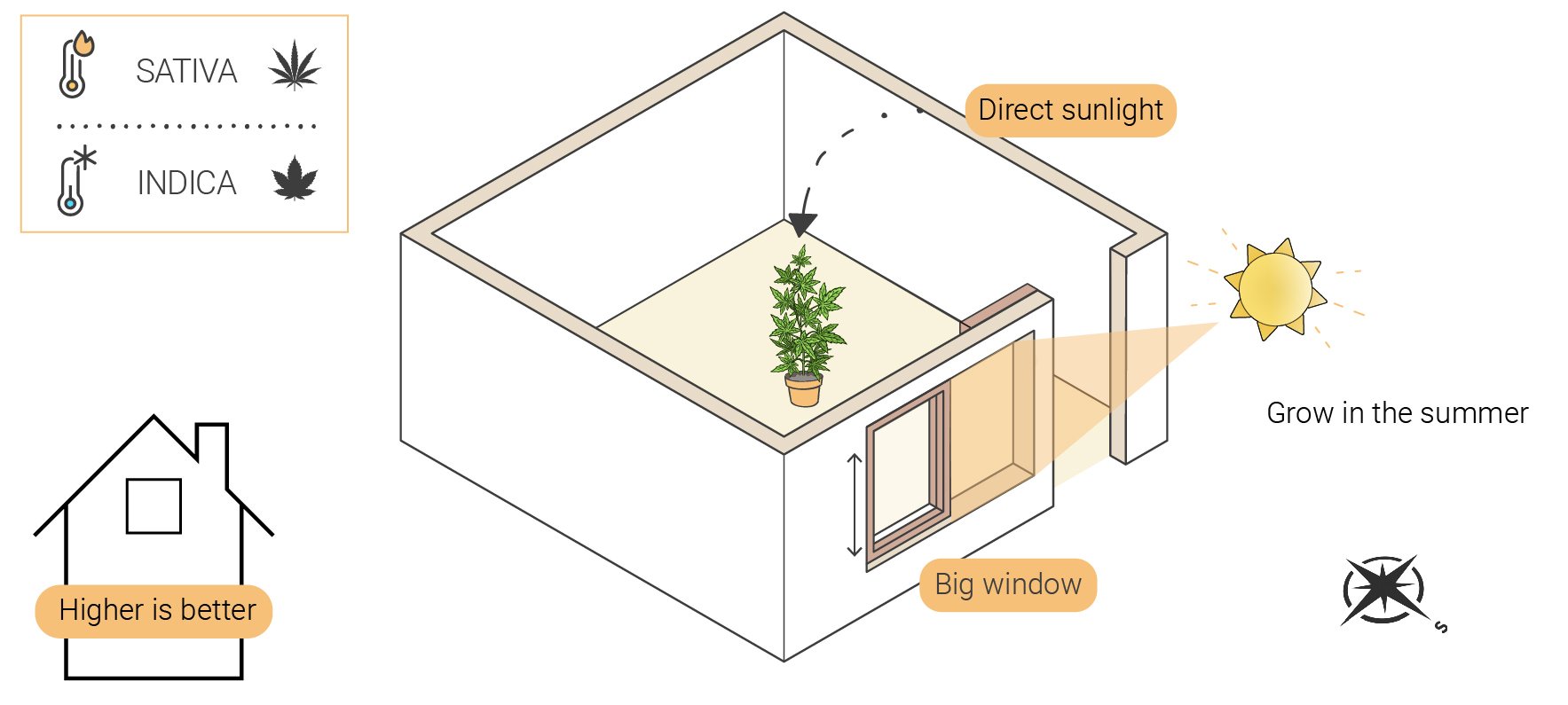 Cómo cultivar marihuana en interior sin luces