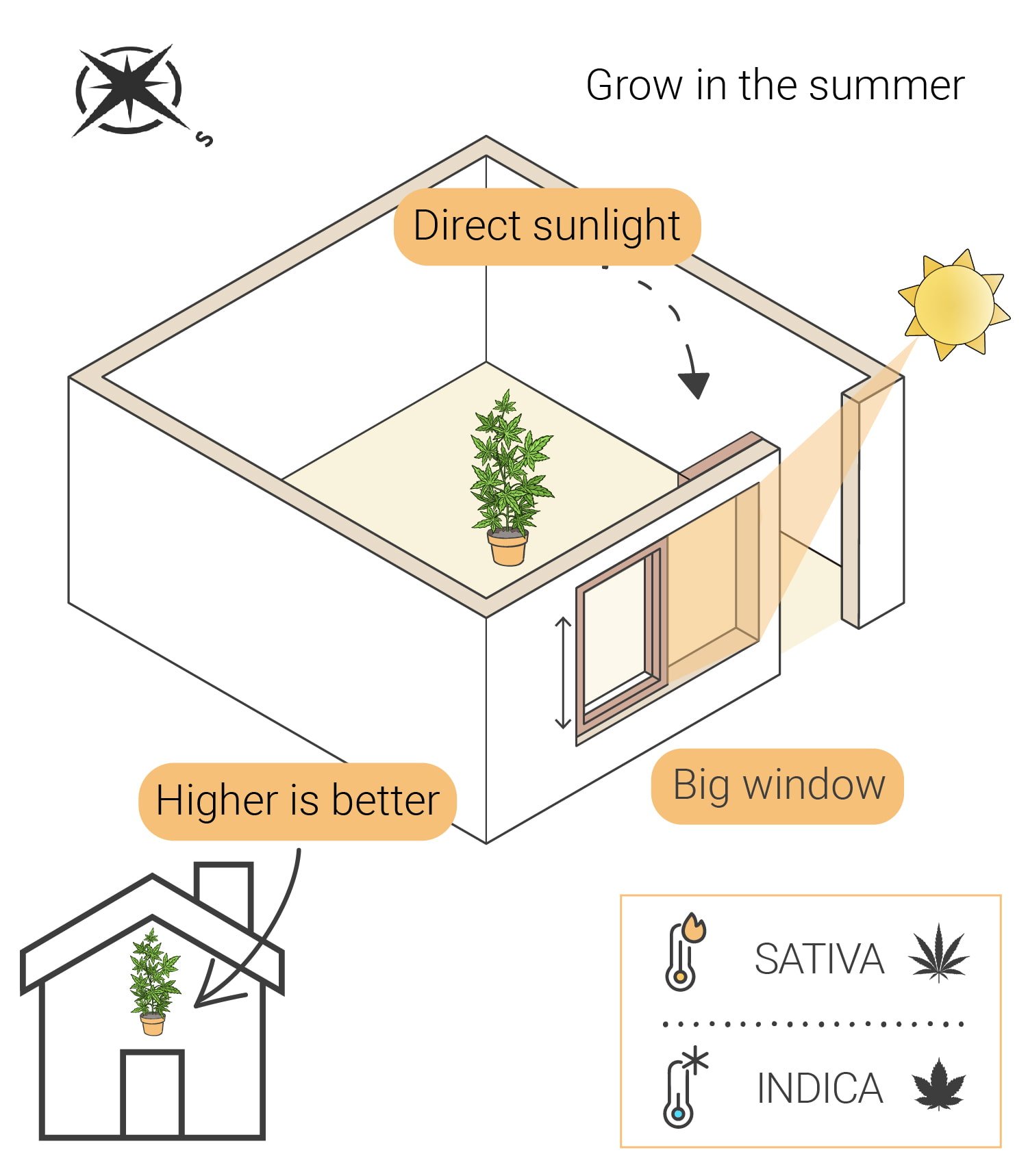 Cómo cultivar marihuana en interior sin luces